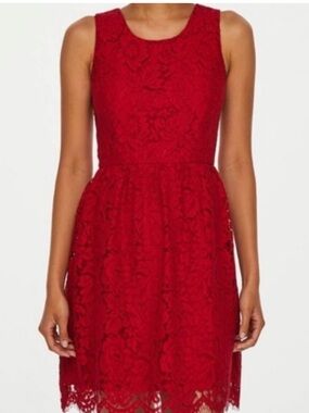 Loft Beautiful Lace Dress |
